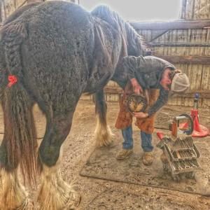 Meet your Posher, Austin